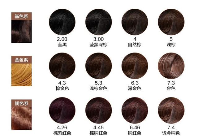 外交部回应2025世界人形机器人运动会:机器人正从实验室走向生活