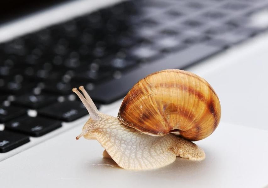 广西市场监管部门强化五项措施 力保“两会一节”期间流通领域食品安全