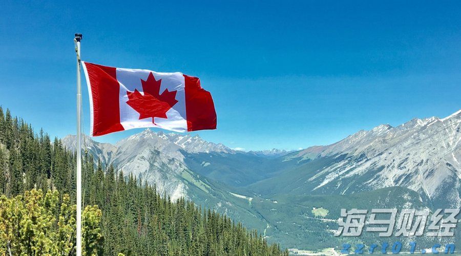 港北区：拼搏实干出新彩