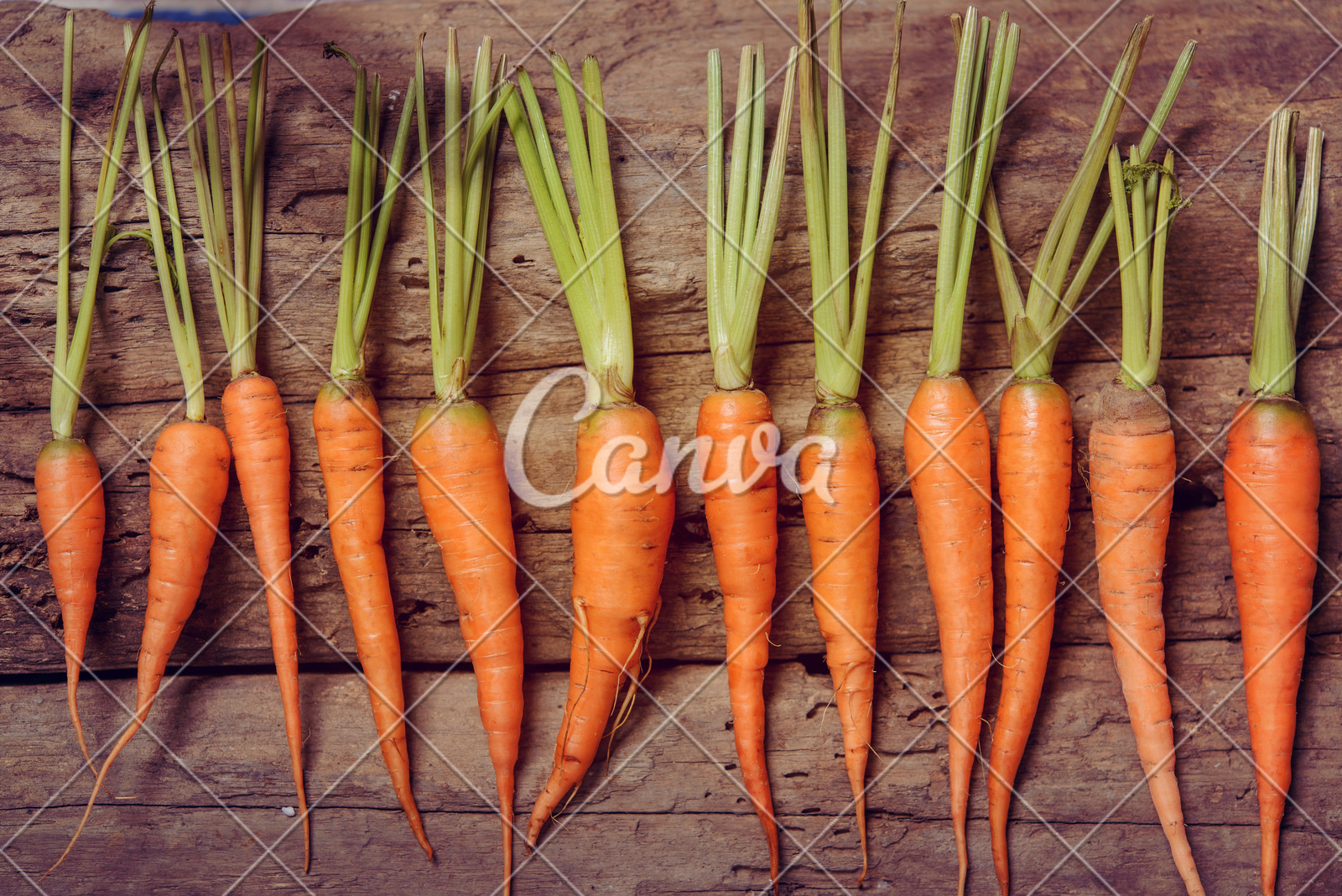 “教育金+养老社区”双核驱动,泰盈人生“终身”现金流守护爱的承诺